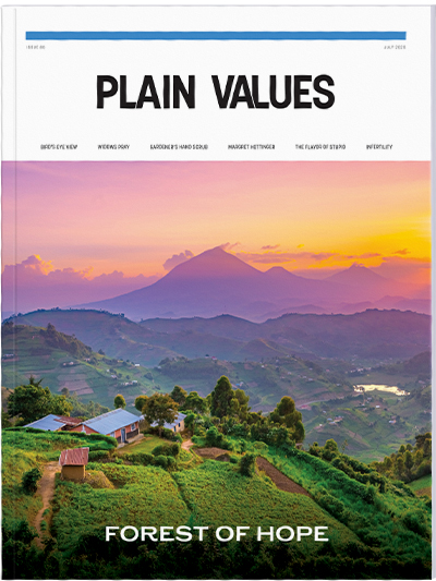 Plain Values Cover - Issue #85