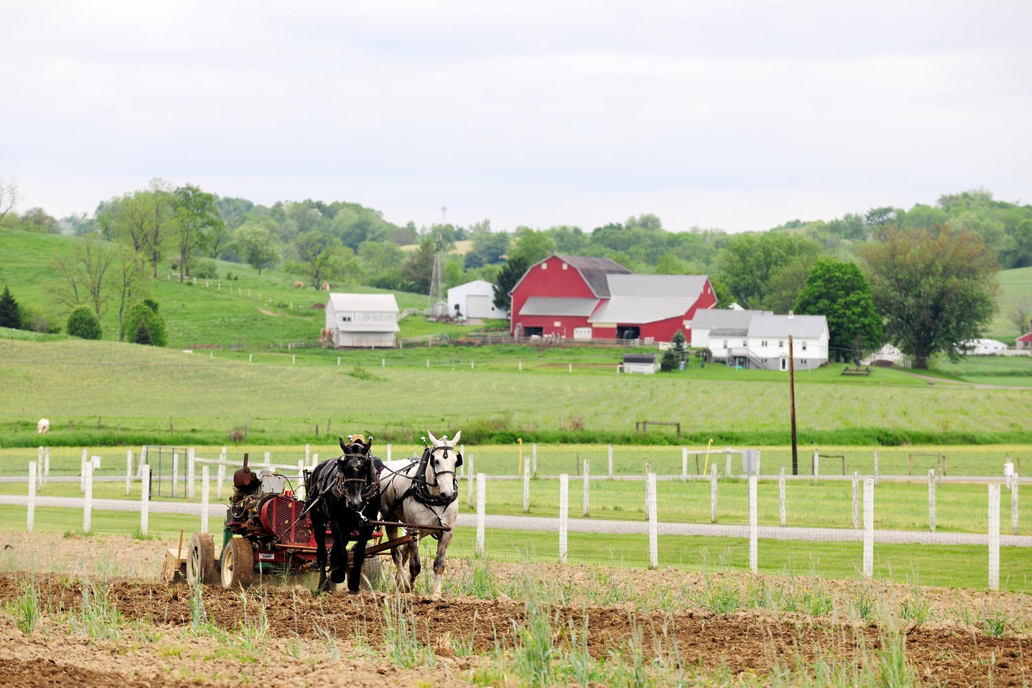 Springtime in Holmes County, Ohio