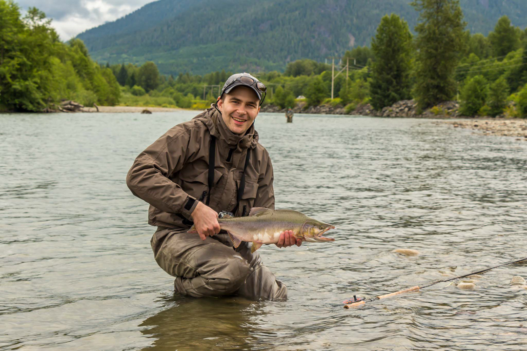 A fisherman holding up a male humpback pink salmon while wading