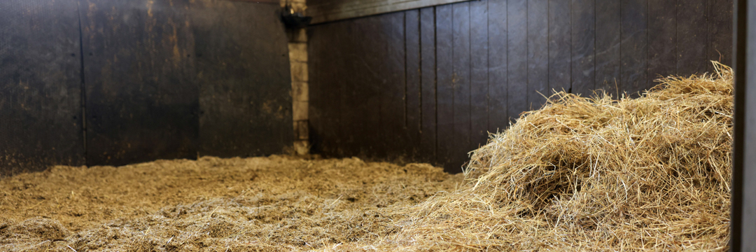 Empty stall in the stable with hay.