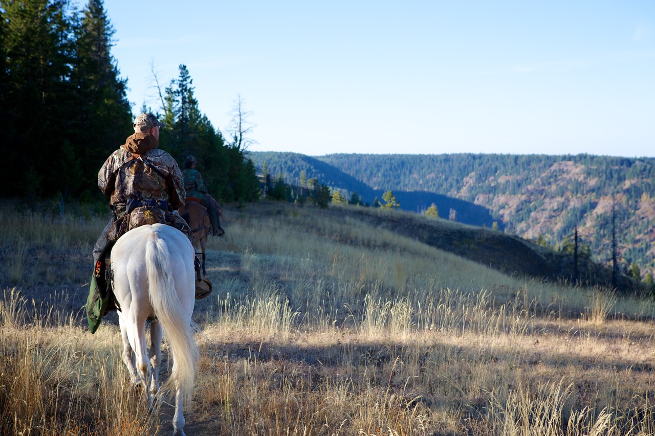 Hunter riding a horse